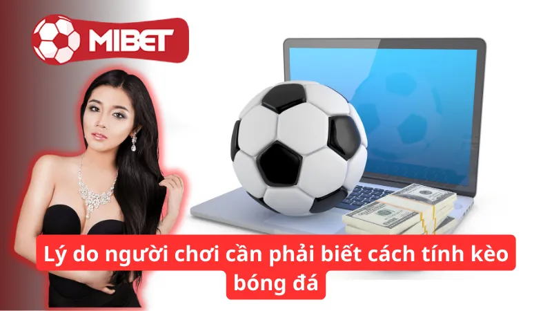 Lý do người chơi cần phải biết cách tính kèo bóng đá