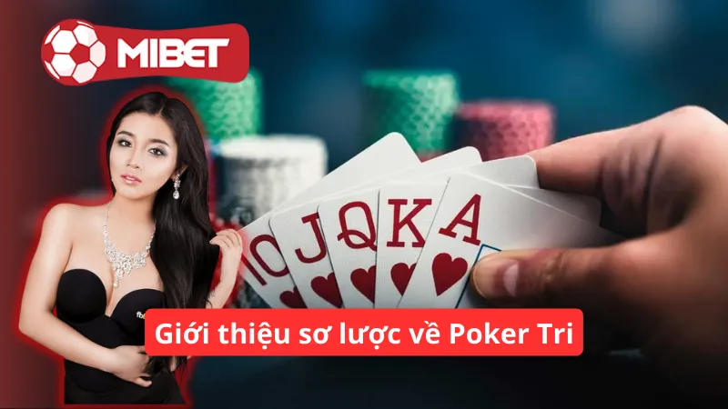 Giới thiệu sơ lược về Poker Tri